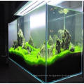 Qingdao Factory Manufacture 12mm Clear  Glass Aquarium for Breeding fish